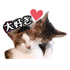 [LINEスタンプ] なりるい姉妹（仔猫編）