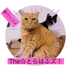 [LINEスタンプ] とらさぶろうコレクション