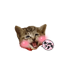 [LINEスタンプ] mi‐naチャン