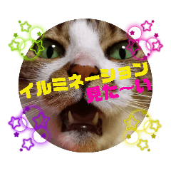 [LINEスタンプ] ナナエモン⑥冬っぽい