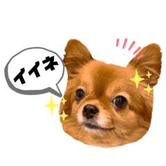[LINEスタンプ] ちゃちゃんぷぅ2