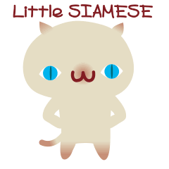 [LINEスタンプ] かわいいシャム猫さんの画像（メイン）