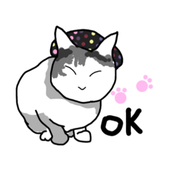 [LINEスタンプ] 我が家のおにゃんこ