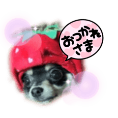 [LINEスタンプ] イヴ＆レン