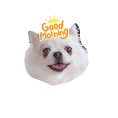 [LINEスタンプ] 白チワワ ベルの日常
