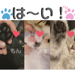 [LINEスタンプ] ヌッコさん3