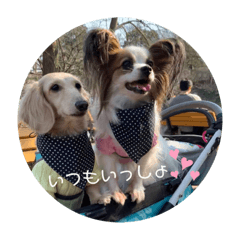 [LINEスタンプ] えんぷり