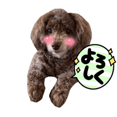 [LINEスタンプ] ラウラです！