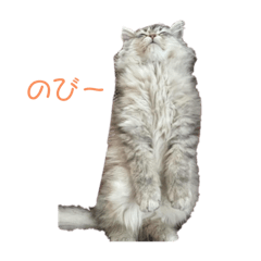 [LINEスタンプ] ao-gram スタンプ