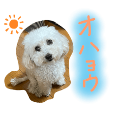 [LINEスタンプ] みるちゃん♡