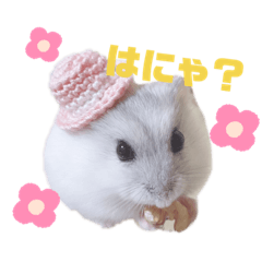 [LINEスタンプ] おもちでしゅ！