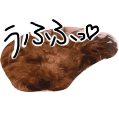 [LINEスタンプ] もしも愛犬がしゃべったら…