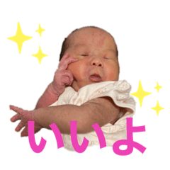 [LINEスタンプ] ひなりすたんぷ。1