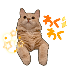 [LINEスタンプ] ペロタン日記 ②