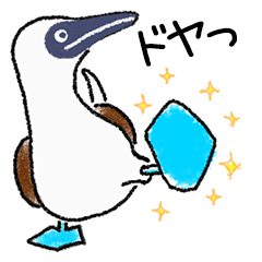 [LINEスタンプ] 【文字あり】アオアシカツオドリくん