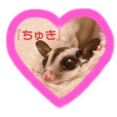 [LINEスタンプ] ❣️あたちシャネル❣️