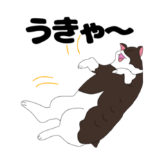 [LINEスタンプ] みやちゃん♪