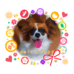 [LINEスタンプ] パピヨンすたんぷ3♡大人の敬語すたんぷ