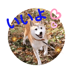 [LINEスタンプ] みんなと一緒13
