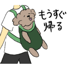 [LINEスタンプ] トイプーれんれん！