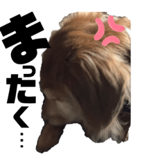 [LINEスタンプ] らぶぞぅi
