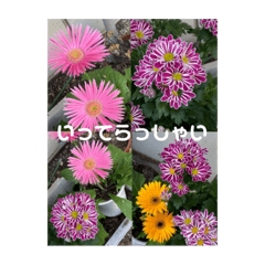 [LINEスタンプ] 花とクラフトと…