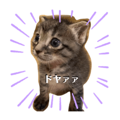 [LINEスタンプ] デチデチ音頭