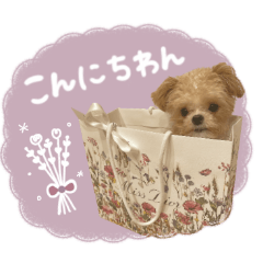 [LINEスタンプ] ♡るぅちゃん