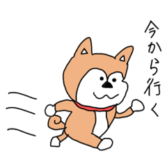 [LINEスタンプ] 人間みたいな犬1