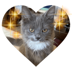 [LINEスタンプ] 子猫ルルちゃん探検隊