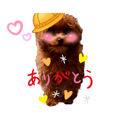 [LINEスタンプ] プードル犬マロン2