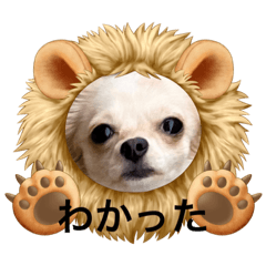[LINEスタンプ] シェリの顔