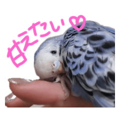 [LINEスタンプ] すけとかく7