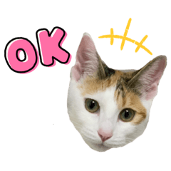 [LINEスタンプ] ありしゃ＆じぇら＆ふぃーろ＆いろいろ