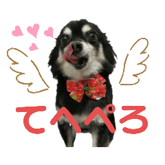 [LINEスタンプ] 我が家のお犬様 .01