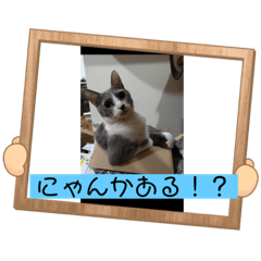 [LINEスタンプ] ジェラさんの一言