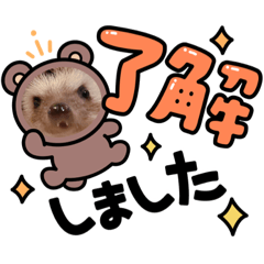 [LINEスタンプ] ハリーちゃんスタンプ4