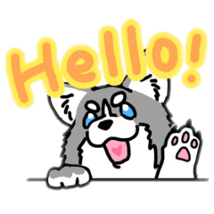 [LINEスタンプ] ハスキー犬ムースくん〜日常会話〜