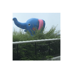 [LINEスタンプ] バラエティー5