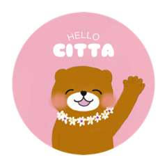 [LINEスタンプ] HELLO！！CITTA