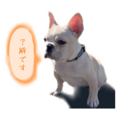 [LINEスタンプ] ポテトスタンプ 0725
