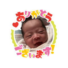 [LINEスタンプ] 蘭ちゃんスタンプ01