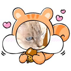 [LINEスタンプ] FASHIONAbIe.
