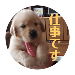 [LINEスタンプ] むぎ山さん2