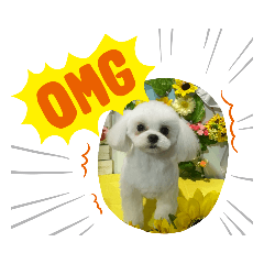 [LINEスタンプ] ちぃととくぅ