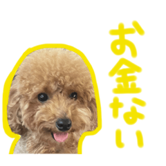 [LINEスタンプ] イヌのぷーさん