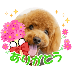 [LINEスタンプ] 僕とミカちゃん