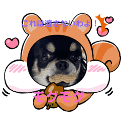 [LINEスタンプ] さつきちゃん❤第1弾