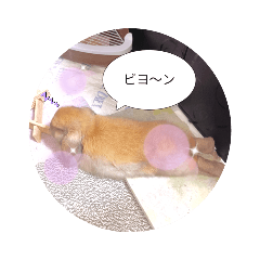 [LINEスタンプ] うさぎさん 生活編