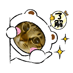 [LINEスタンプ] くるみナッツのスタンプ
